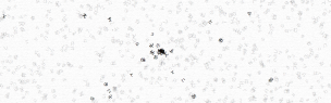 散らばっていく言葉たち — Words which are being scattered —