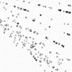 放射状に散らばっていく言葉 — Words which are being scattered radially —