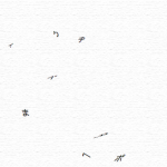 集約していく言葉 — The words which are being concentrated —