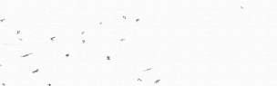 集約していく言葉 — The words which are being concentrated —